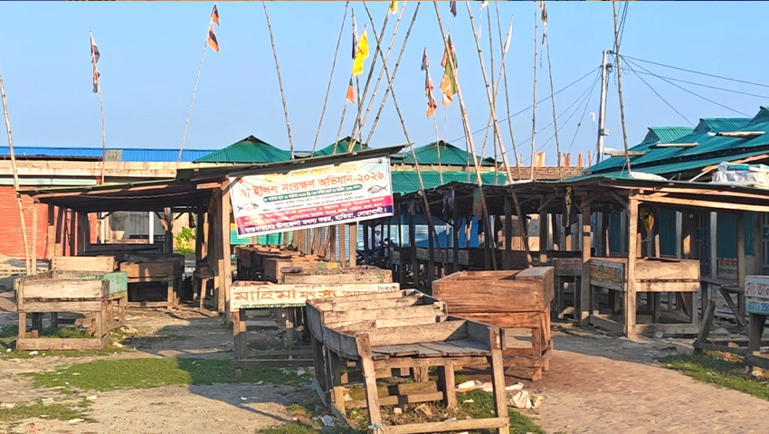ছবি : সময়ের আলো
